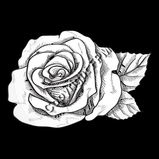 A1274 Rose Thumbnail