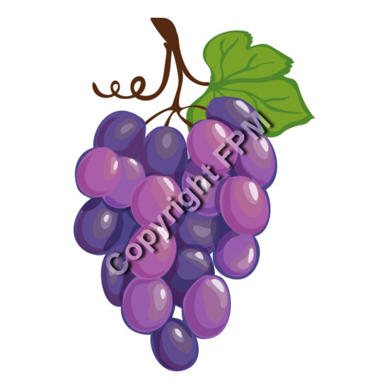 A1278 Grapes Thumbnail