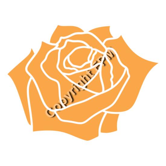 A1329 Rose Thumbnail