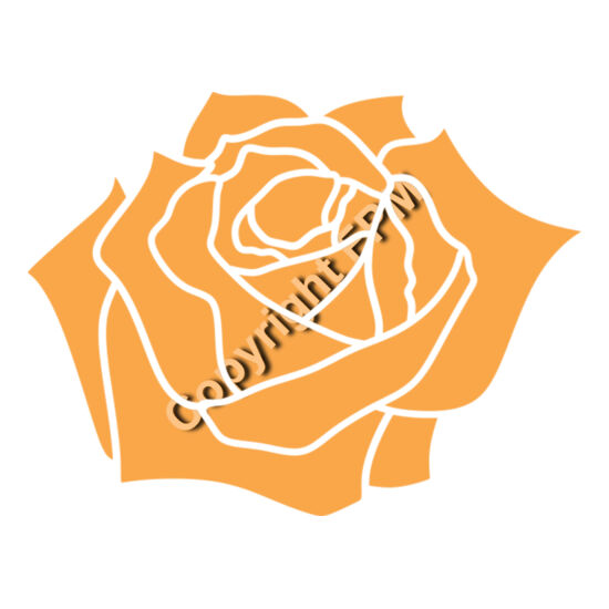 A1329 Rose Thumbnail