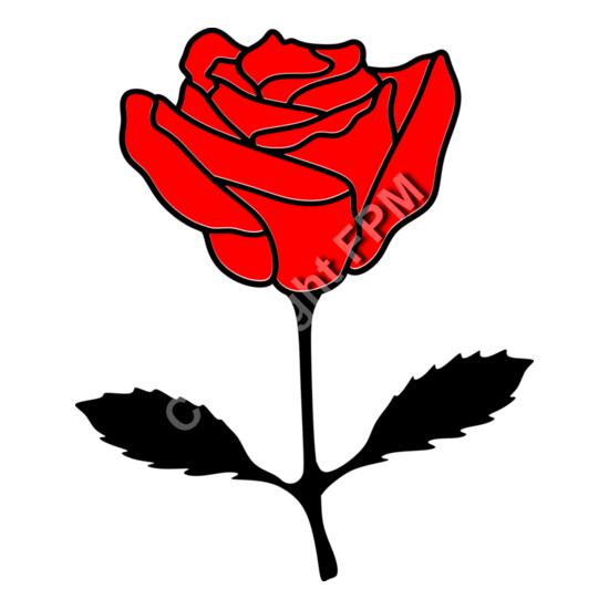 A1332 Rose Thumbnail