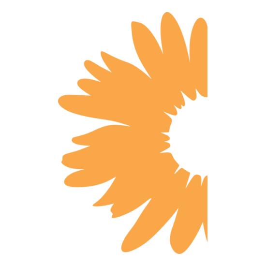 A1333 Daisy Thumbnail