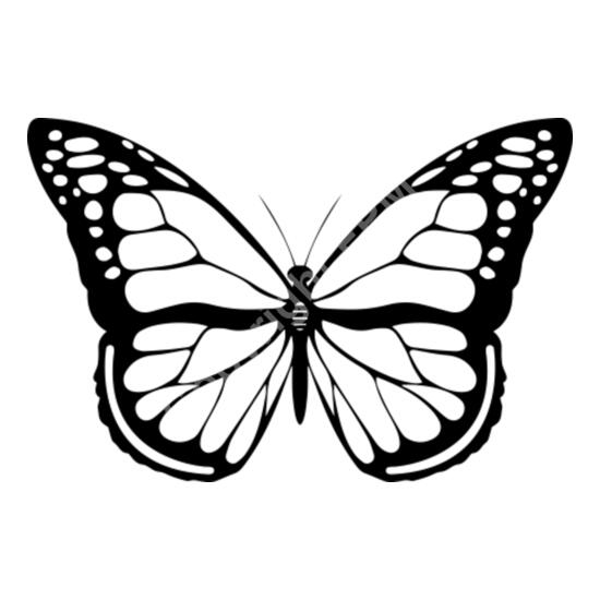 A1088 Butterfly Thumbnail