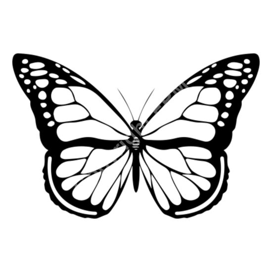 A1088 Butterfly Thumbnail