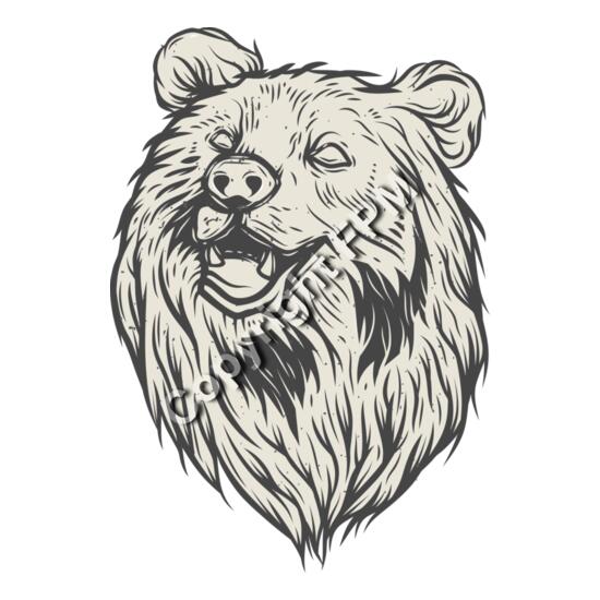 A1817 Bear Thumbnail