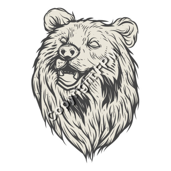 A1817 Bear Thumbnail