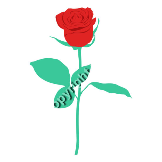 A1409 Rose Thumbnail