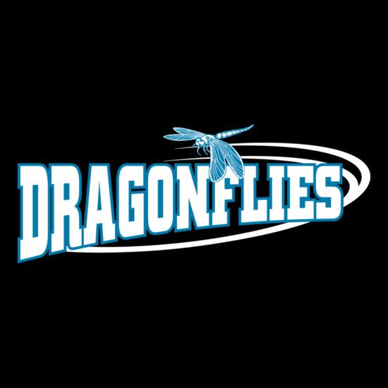 1282 Dragonflies Thumbnail