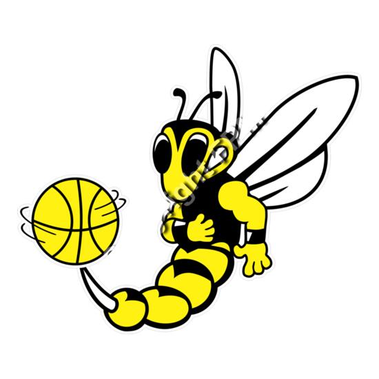 1230 Hornet Basketball Thumbnail