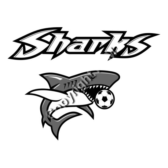 1239 Sharks Soccer Thumbnail