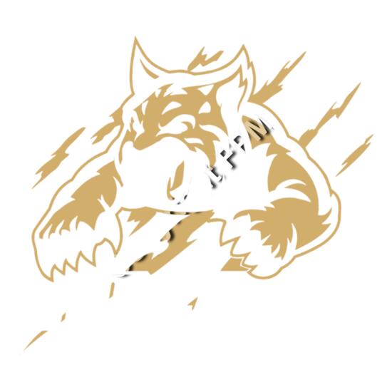 1281 Bobcats Thumbnail