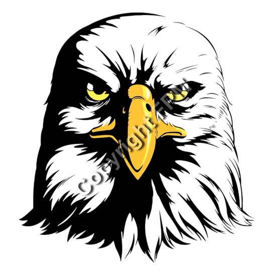 1306 Eagle Head Thumbnail