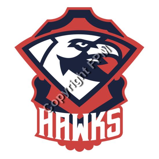 1310 Hawks Thumbnail