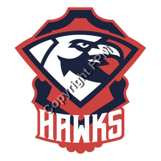 1310 Hawks Thumbnail