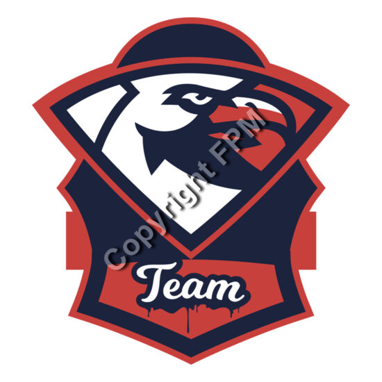 1311 Hawks Team Thumbnail