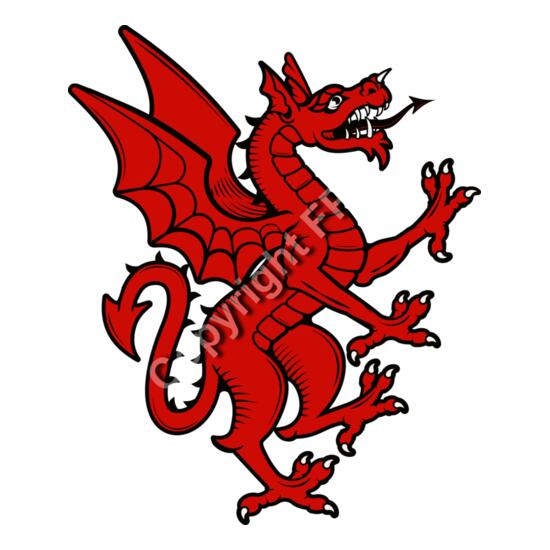 1350 Family Crest Red Dragon Thumbnail