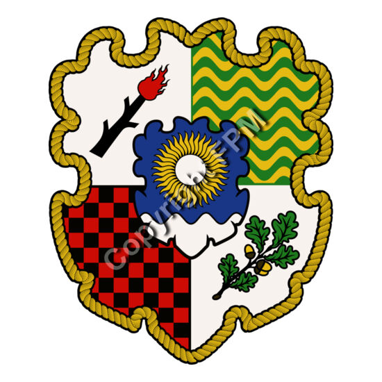 1356 Family Crest Shield Thumbnail