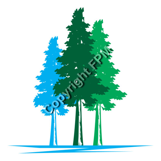 B1020 Redwood Trees Thumbnail