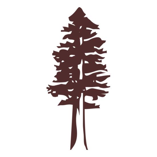 B1021 Redwood Tree Thumbnail