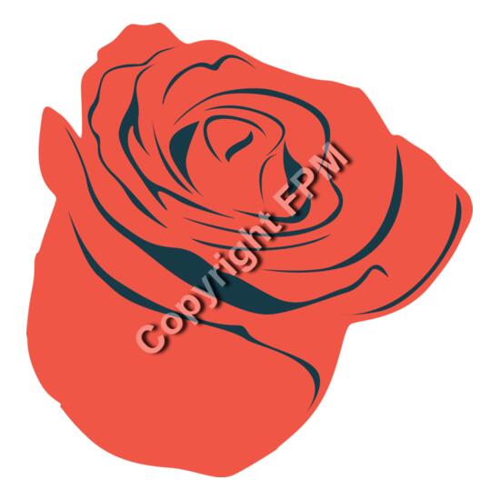 B1028 Rose Thumbnail