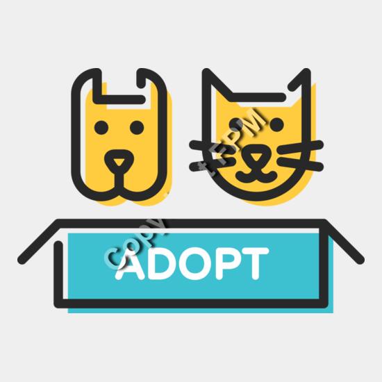8125 Adopt Thumbnail