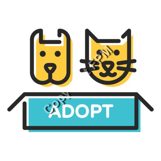 8125 Adopt Thumbnail