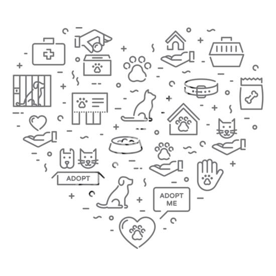 8126 Adopt Animals Thumbnail