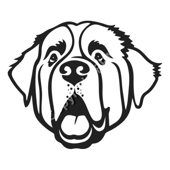 B6134 St Bernard Thumbnail