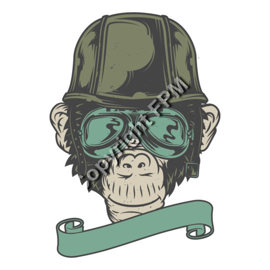 B6167 Cool Monkey Thumbnail