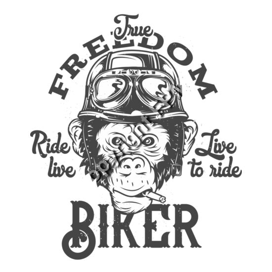 B6169 Biker Monkey Thumbnail