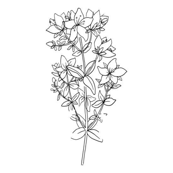 B6171 Floral Thumbnail