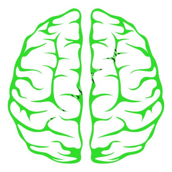 B7177 Brain Thumbnail