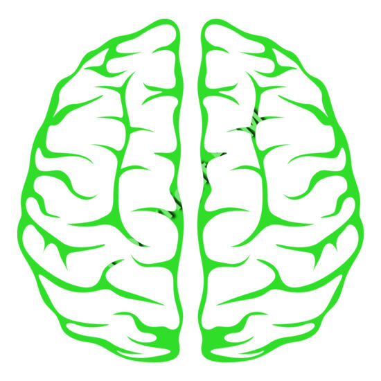 B7177 Brain Thumbnail