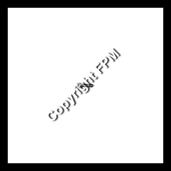 2654 Pawsitive Thumbnail