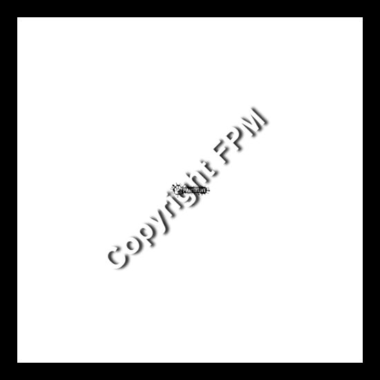 2654 Pawsitive Thumbnail