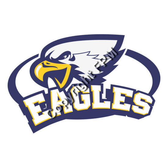 6556 Eagles Thumbnail