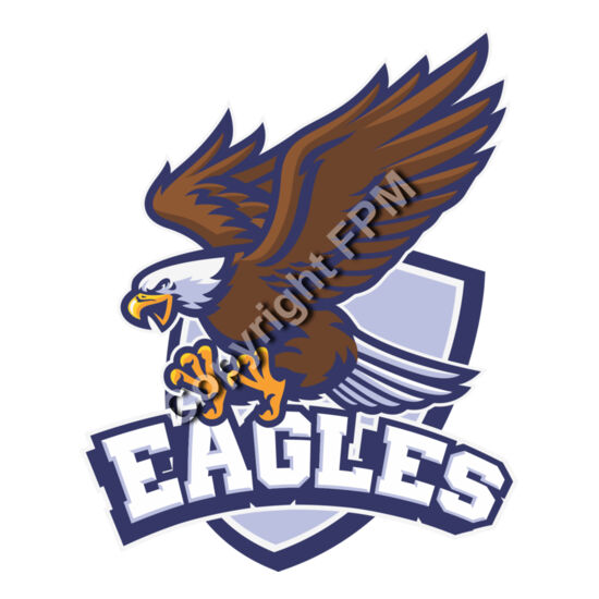 6554 Eagles Thumbnail