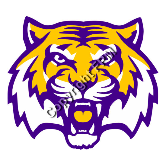 4236 Wild Cat Thumbnail