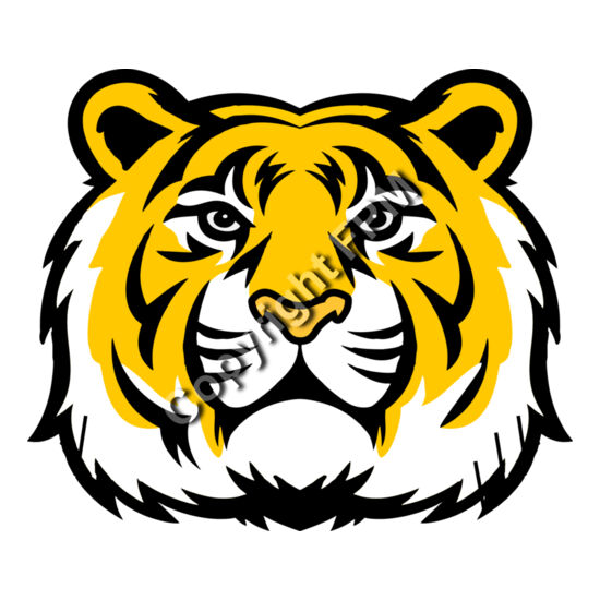 4235 Tiger Thumbnail