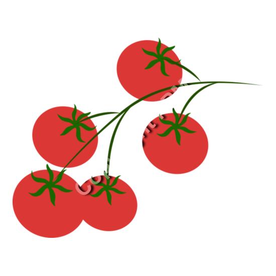 B4369 Tomatos Thumbnail