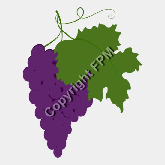 B4370 Grapes Thumbnail