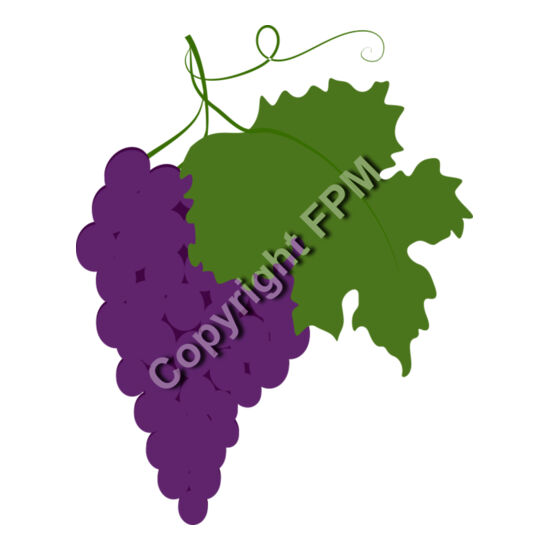 B4370 Grapes Thumbnail