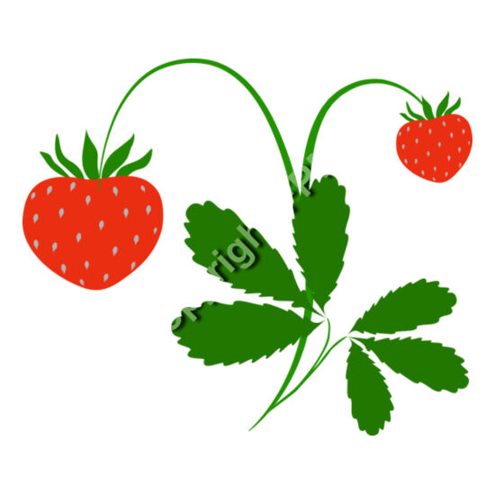 B4371 Strawberries Thumbnail