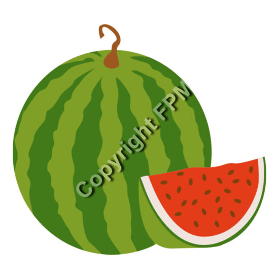 B4372 Watermelon Thumbnail