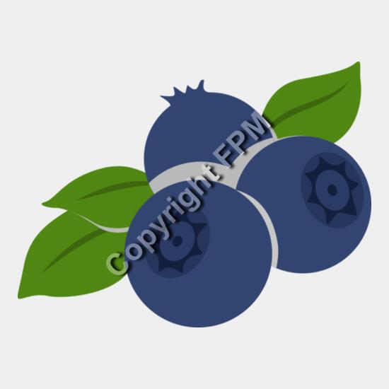 B4373 Blueberries Thumbnail