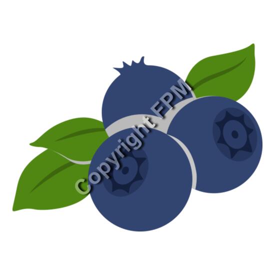 B4373 Blueberries Thumbnail