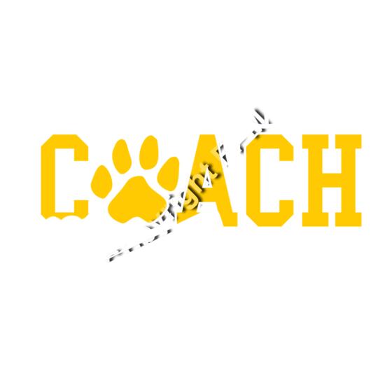 B4381 Cheer Coach Thumbnail