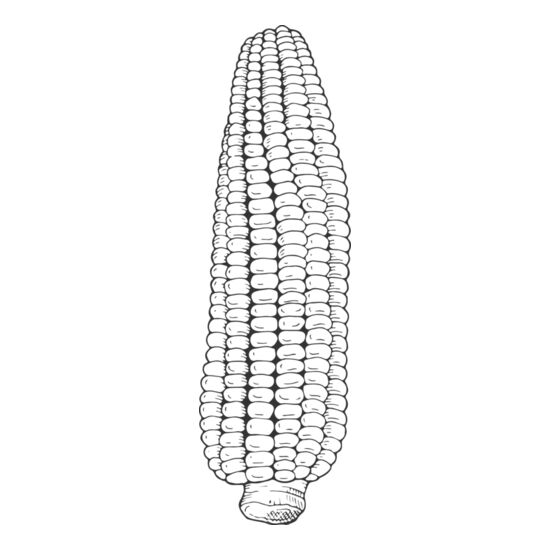 07989 Corn Thumbnail