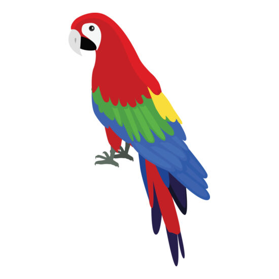 2998 Parrot Thumbnail