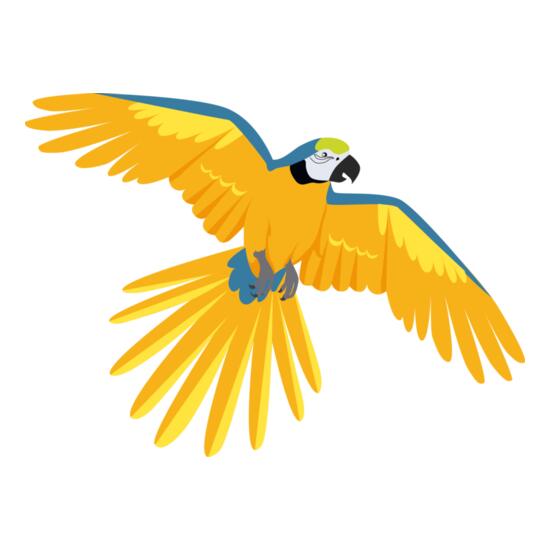 3425 Parrot Thumbnail